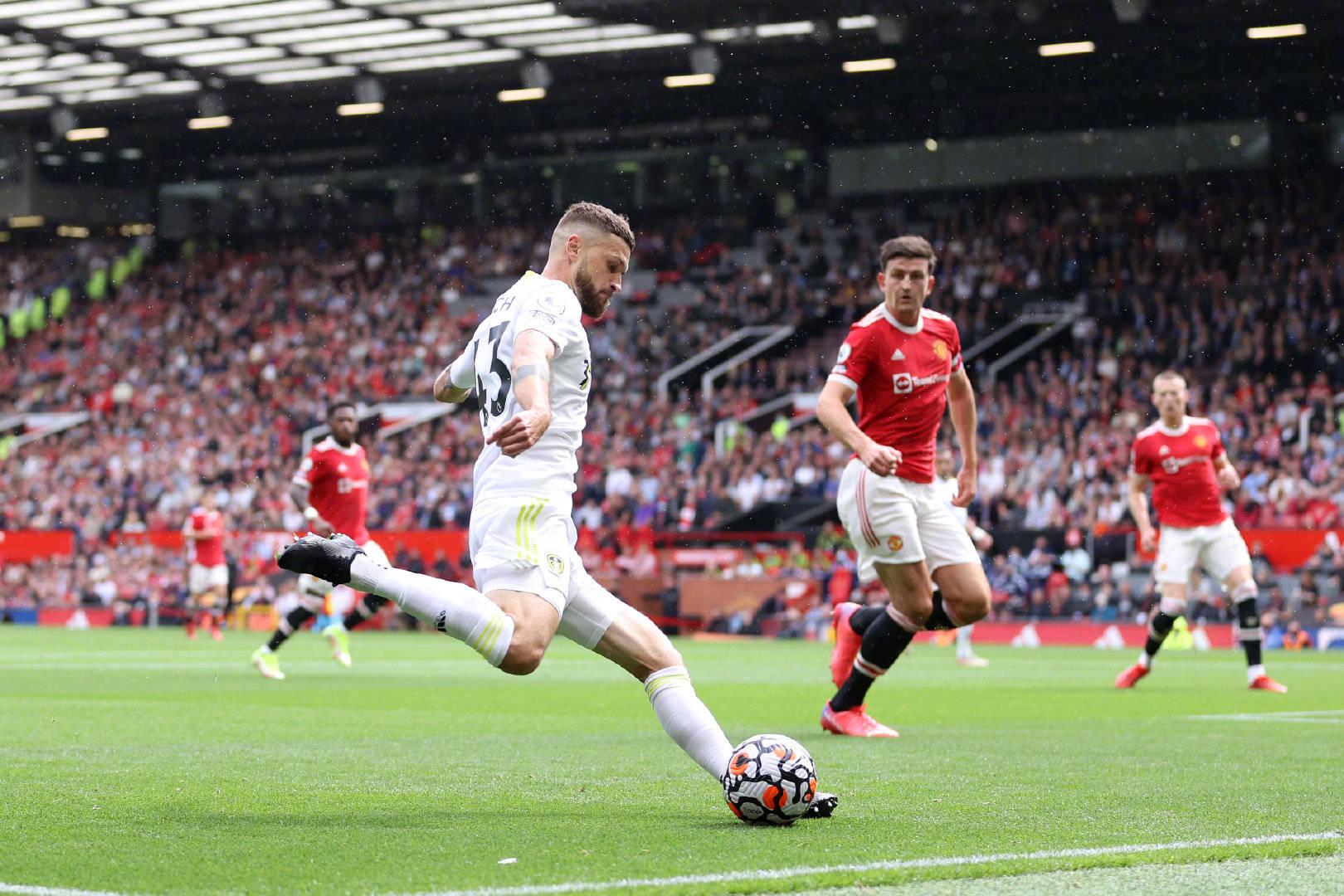 仅是购得一 仅是购得一